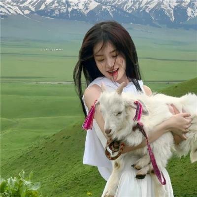 五个相扑的少年电影版