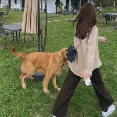纽约情弦